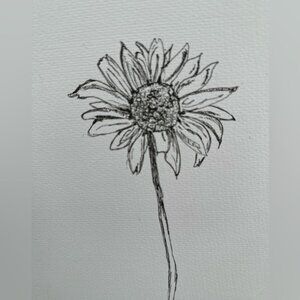 Slower sketch original signed numbered muskoka spring.